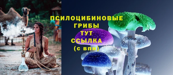 молекула духа Михайлов
